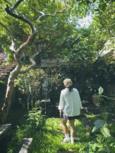 Cat Homestay в июле — фото погоды (2025-07-05)