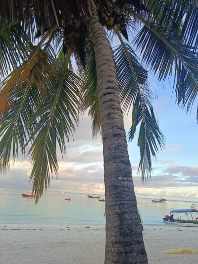 Zanzibar Kendwa Beach в апреле — фото погоды (2026-04-03)
