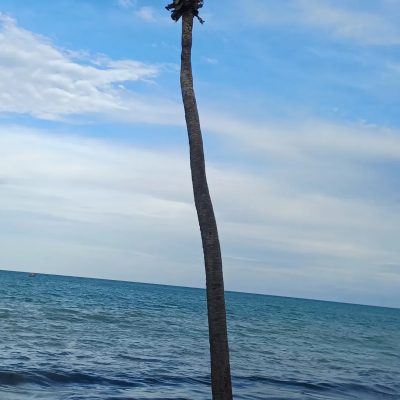 Praia da Ponta Verde в феврале — фото погоды (2026-02-19)