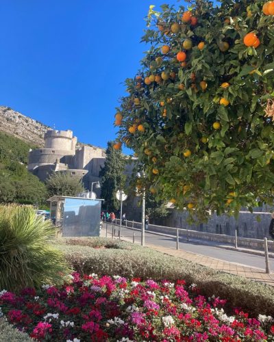 Dubrovnik City в ноябре — фото погоды (2024-11-27)