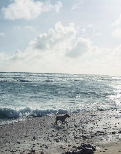 Suluban Beach, Bali в июне — фото погоды (2026-06-13)