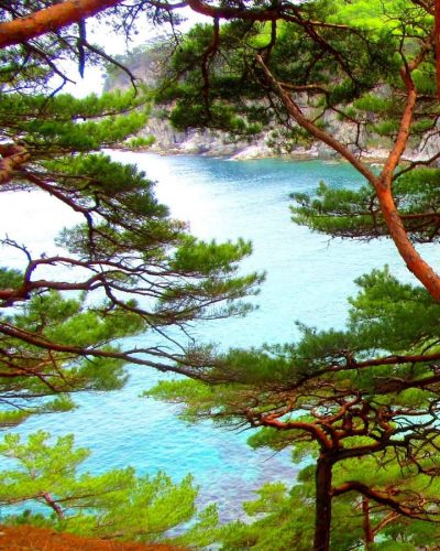 Gamova в апреле — фото погоды (2021-04-16)