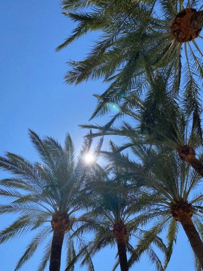 Port de Palma de Mallorca в июле — фото погоды (2026-07-07)