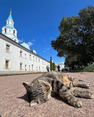 Спасо-Преображенский Валаамский монастырь в августе — фото погоды (2024-08-17)