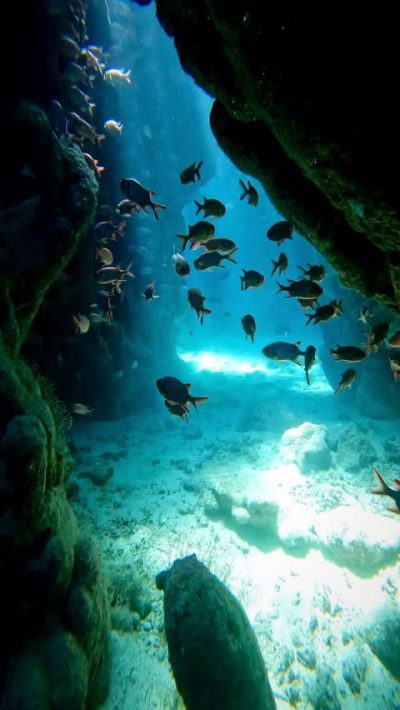 Deep South Divers в июле — фото погоды (2025-07-29)