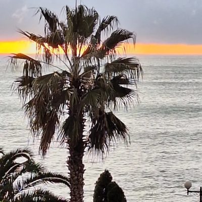 Gagra, Alex Beach Hotel — фото погоды в декабре (2025-12-30)