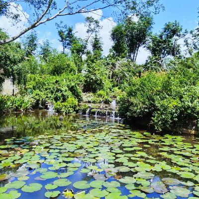 Haikou Volcanic Cluster Global Geopark в сентябре — фото погоды (2025-09-15)