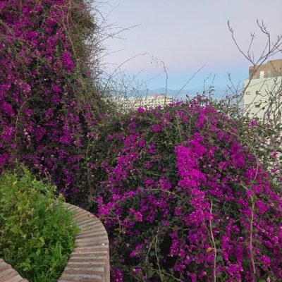 Costa Del Sol, Spain — фото погоды в феврале (2026-02-18)