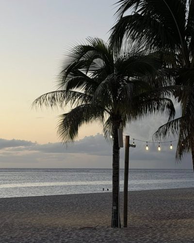 Mauritius, Flic En Flac в марте — фото погоды (2026-03-13)