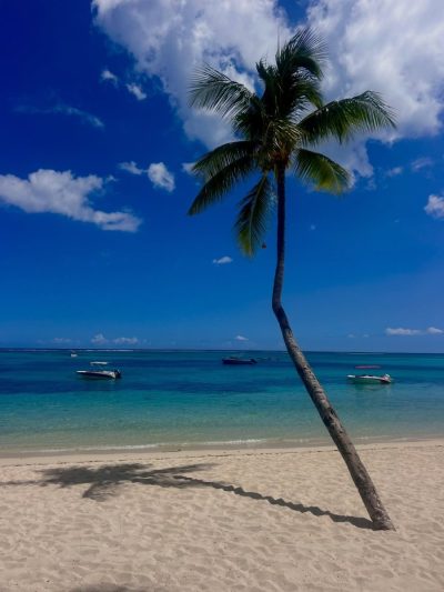 Mauritius, Flic En Flac в апреле — фото погоды (2026-04-01)