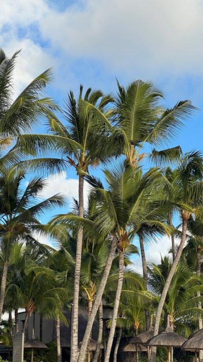 Mauritius, Flic En Flac в июне — фото погоды (2026-06-01)