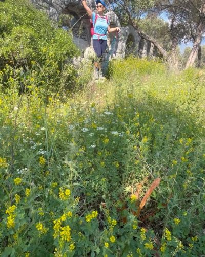 Akvarium Koyu Fethiye в апреле — фото погоды (2025-04-27)