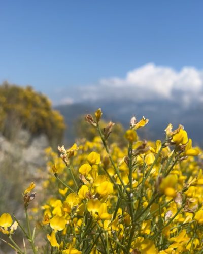 Akvarium Koyu Fethiye в апреле — фото погоды (2025-04-27)