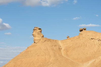 Тозер в июле — фото погоды (2026-07-14)