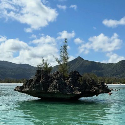Ile au Benitier ile Maurice в августе — фото погоды (2025-08-23)