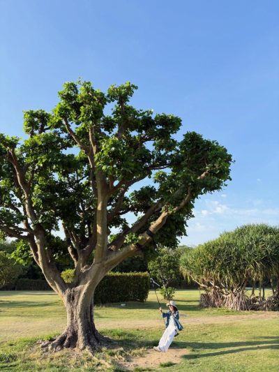Ishigaki Island Okinawa в апреле — фото погоды (2026-04-29)