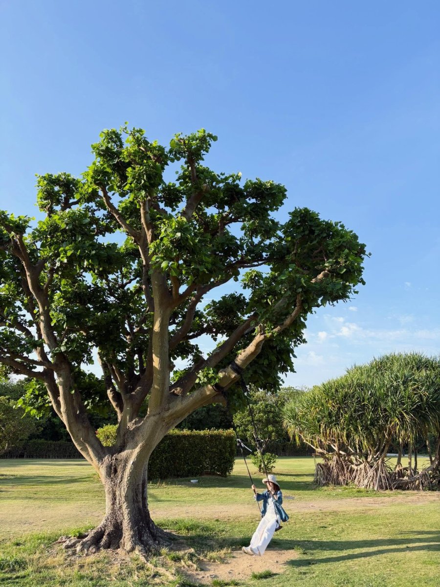Погода в Ishigaki Island Okinawa