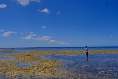 Ishigaki Island Okinawa в июле — фото погоды (2026-07-03)