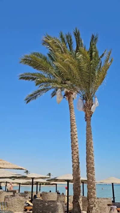 Golden Beach Resort — фото погоды в июле (2026-07-18)