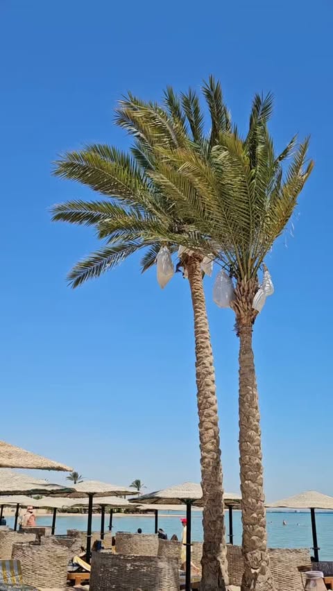 Погода в Golden Beach Resort