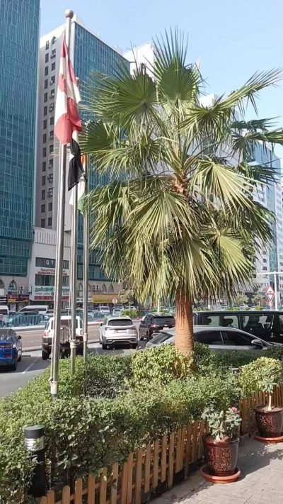 City Seasons Al Hamra Hotel — фото погоды в марте (2026-03-01)