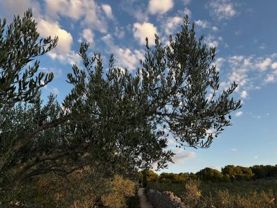 Maslinica,Otok Šolta в сентябре — фото погоды (2025-09-22)