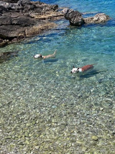 Maslinica,Otok Šolta в мае — фото погоды (2026-05-22)