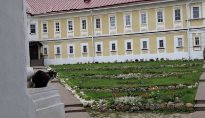 Осташков в мае — фото погоды (2026-05-31)