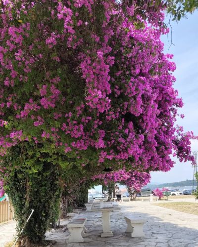 Corfu City,Kerkyra в июне — фото погоды (2025-06-17)