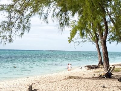 Le Morne BEACH в январе — фото погоды (2026-01-22)