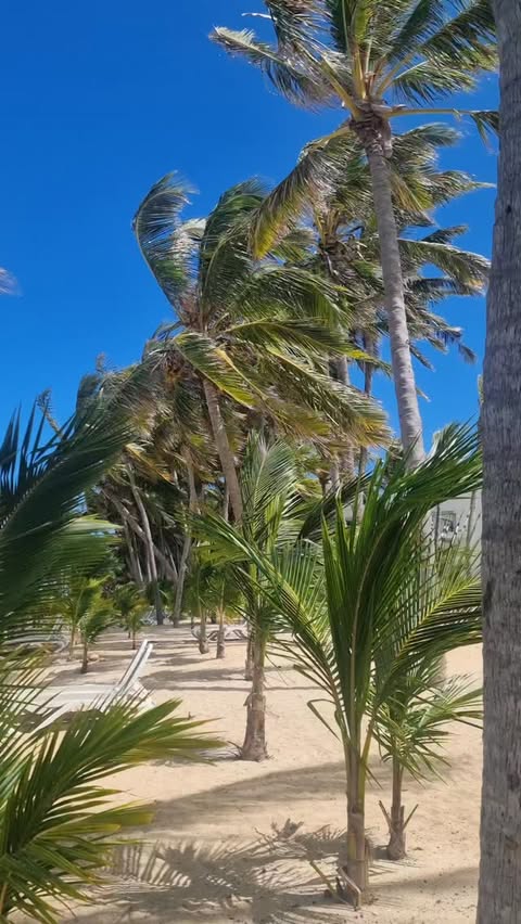 Погода в Le Morne BEACH