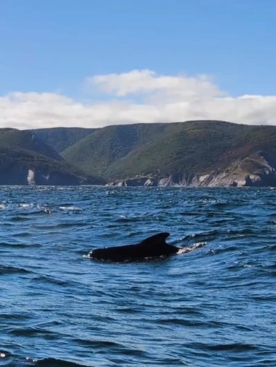 St.Lawrence Bay в октябре — фото погоды (2025-10-20)