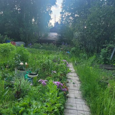 Красноярск в октябре — фото погоды (2024-10-17)
