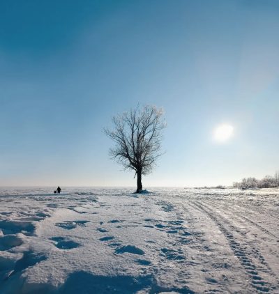 Великий Новгород в январе — фото погоды (2026-01-25)
