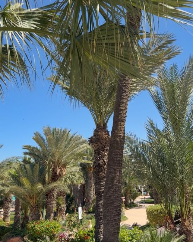 Погода в Djerba