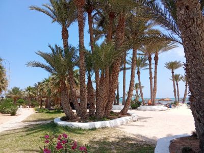 Djerba в июне — фото погоды (2026-06-30)