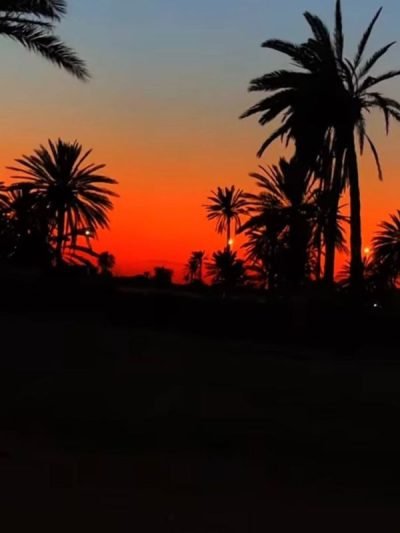 Djerba в июле — фото погоды (2026-07-10)