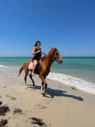 Djerba в июле — фото погоды (2026-07-11)