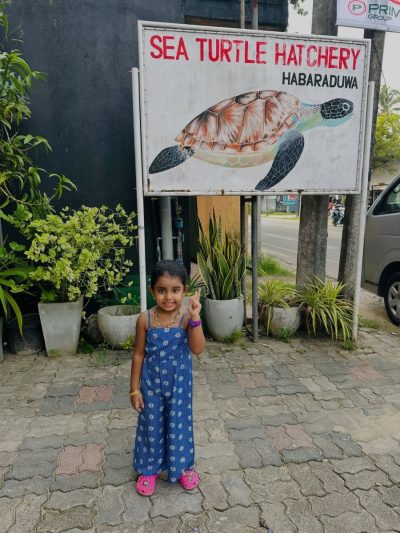 Sea Turtle Hatchery - Habaraduwa в январе — фото погоды (2026-01-03)
