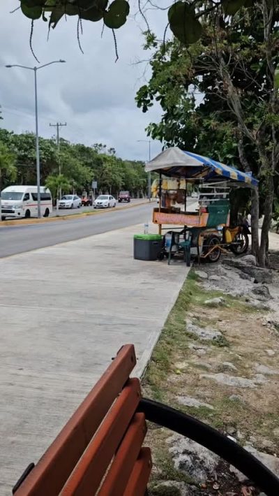 Cozumel, Quintana Roo, Mexico. в июне — фото погоды (2026-06-14)