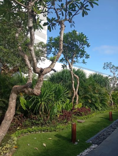 Hotel Grand Ina Bali Beach — фото погоды в апреле (2026-04-26)