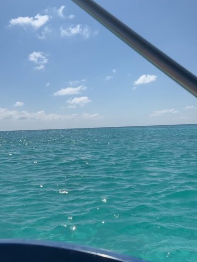 Los Roques, Carenero в ноябре — фото погоды (2025-11-26)