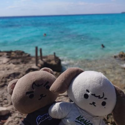 Bay of Pigs, Cuba в августе — фото погоды (2025-08-09)