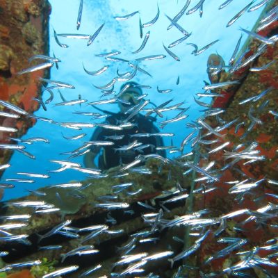 Bay of Pigs, Cuba в январе — фото погоды (2026-01-28)