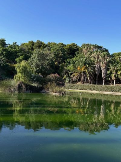 Paloma Park- Benalmadena в сентябре — фото погоды (2025-09-14)