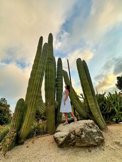 Paloma Park- Benalmadena в ноябре — фото погоды (2025-11-10)