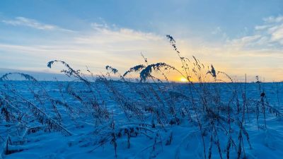 Вологодская область в декабре — фото погоды (2024-12-01)