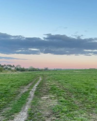 Вологда в мае — фото погоды (2025-05-21)