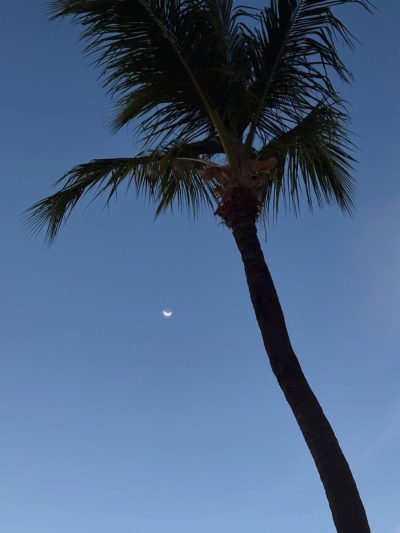 Bayahibe Rep.Dominicana в апреле — фото погоды (2026-04-23)