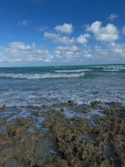 Playa Pilar, Cuba в апреле — фото погоды (2026-04-23)